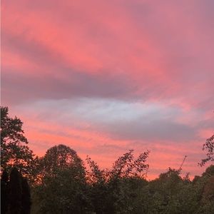 Meet your Posher, Charlotte